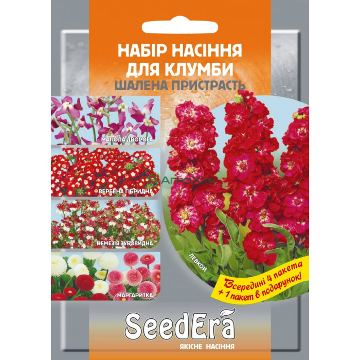 Набір квітів рожево-червоний "Шалена Пристрасть" - Насіння